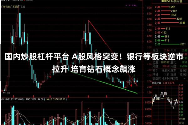国内炒股杠杆平台 A股风格突变！银行等板块逆市拉升 培育钻石