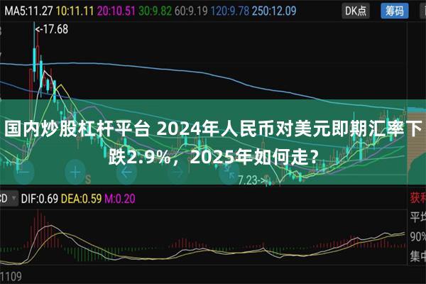国内炒股杠杆平台 2024年人民币对美元即期汇率下跌2.9%